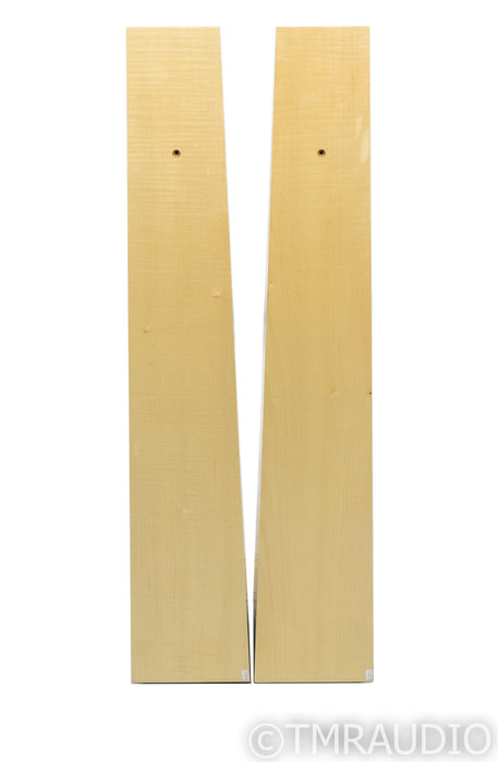 Avalon Acoustics Symbol Floorstanding Speakers