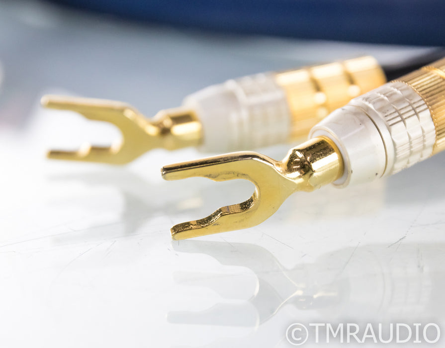 PS Audio Xstream Plus Speaker Cable; Single 4m Cable