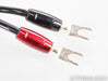 AudioQuest Rocket 88 Silver Plated Speaker Cables; 8ft Pair; 72v DBS