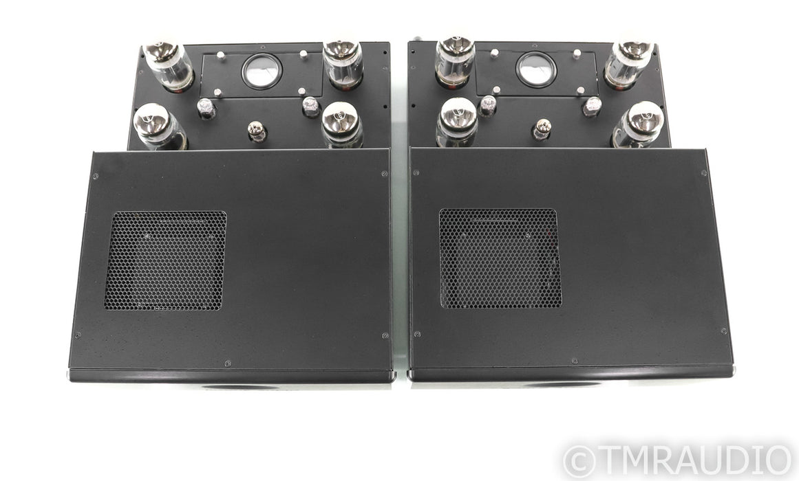Rogue Audio M-180 Mono Tube Power Amplifier