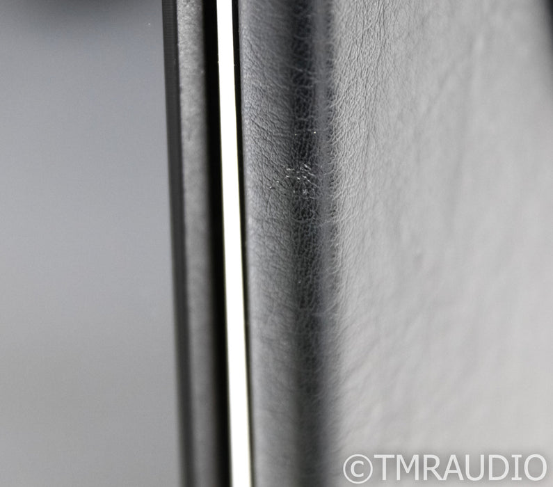 Sonus Faber Chameleon T Floorstanding Speakers