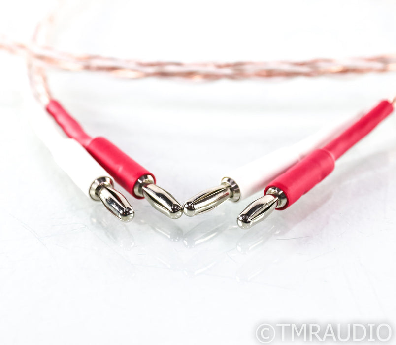 Kimber Kable 4TC Speaker Cable; 4ft; Single