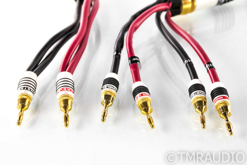 Monster Cable M2.4s Biwire Speaker Cables; 8ft Pair