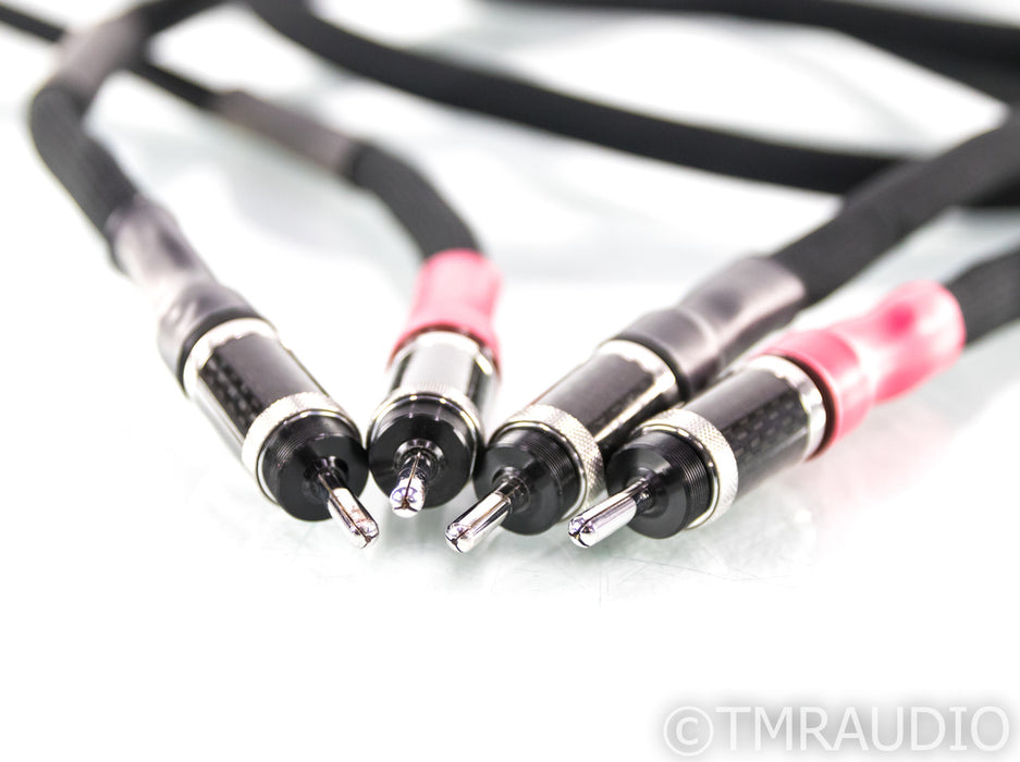 Morrow Audio 10 Year Anniversary Speaker Cable; Single; 2m