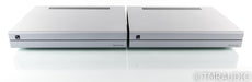 PS Audio Stellar M700 Mono Power Amplifier