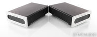 Bel Canto e.One REF1000 Mono Power Amplifier