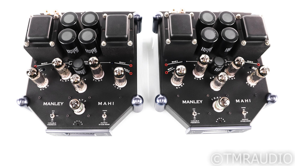 Manley Labs Mahi Mono Tube Power Amplifier