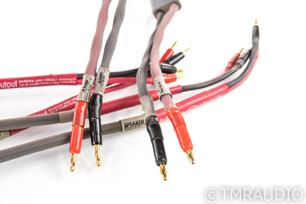 MIT MH-750 Shotgun Bi-Wire Speaker Cables; 2.5m Pair; MH750 — The
