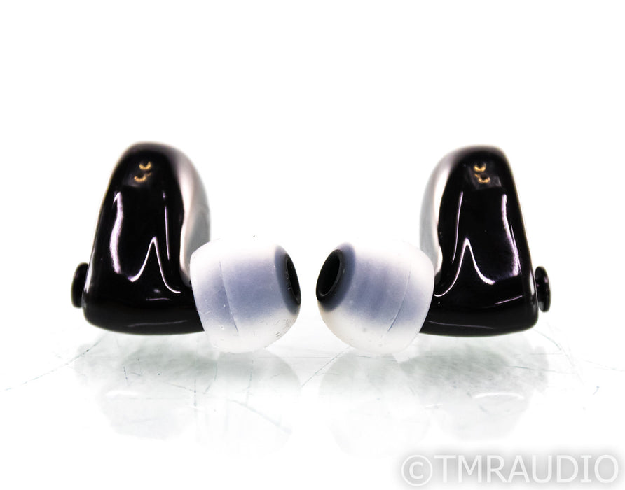 InEarz Audio Zen 4 In-Ear Headphones; IEM