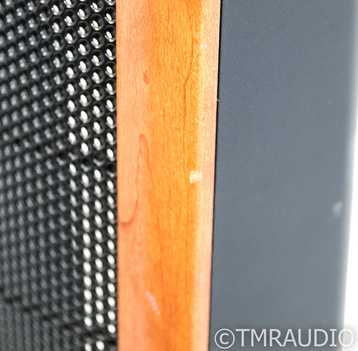 Martin Logan Aeon Electrostatic Hybrid Floorstanding Speakers