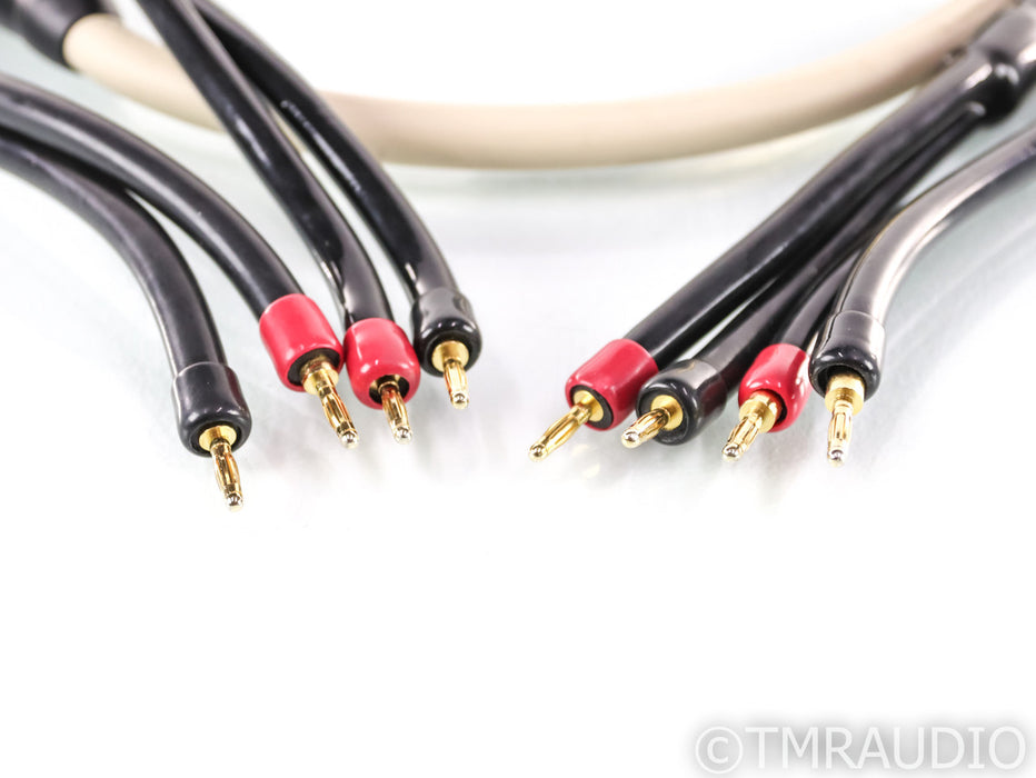 Transparent MusicWave Plus Speaker Cables; 8ft Pair