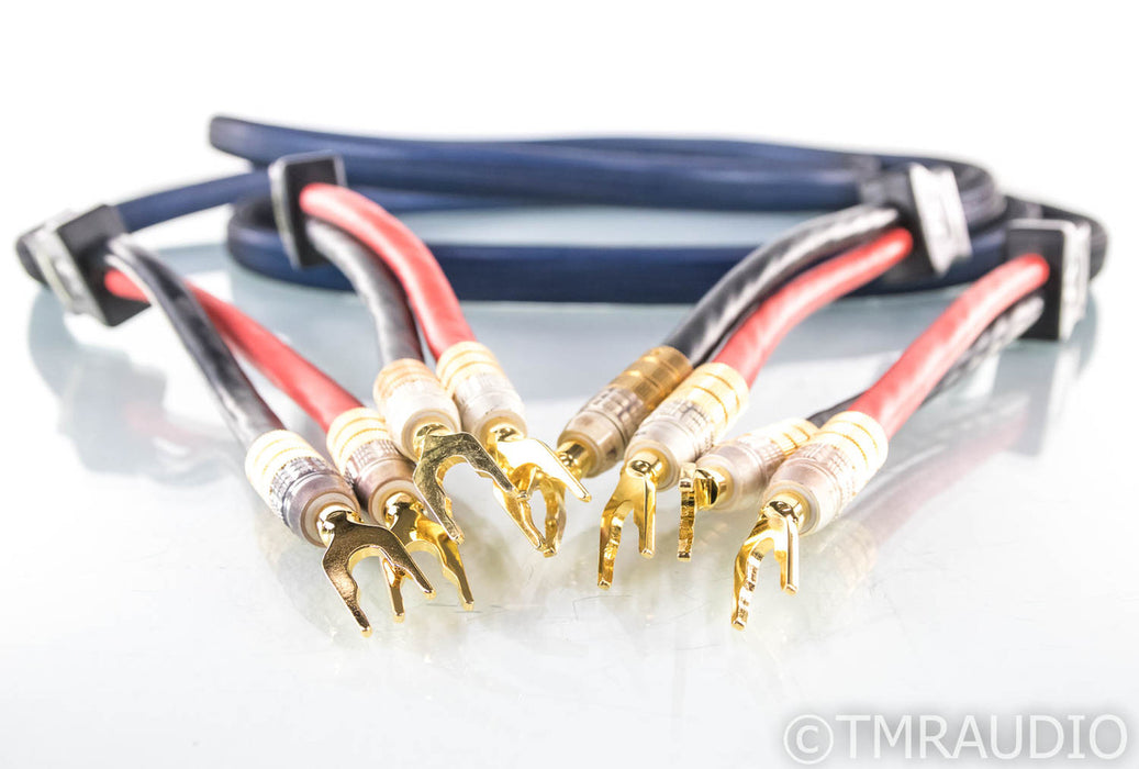 PS Audio xStream Plus Speaker Cables; 10ft Pair; Spade & Banana Terminations
