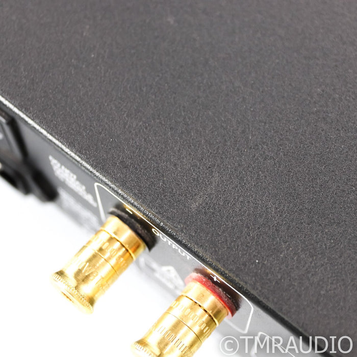 Bel Canto e.One REF500M Mono Power Amplifier