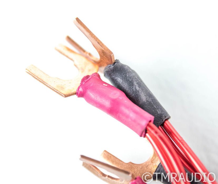 AntiCables 3.1 Speaker Cables; 6ft Pair