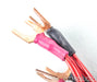 AntiCables 3.1 Speaker Cables; 6ft Pair