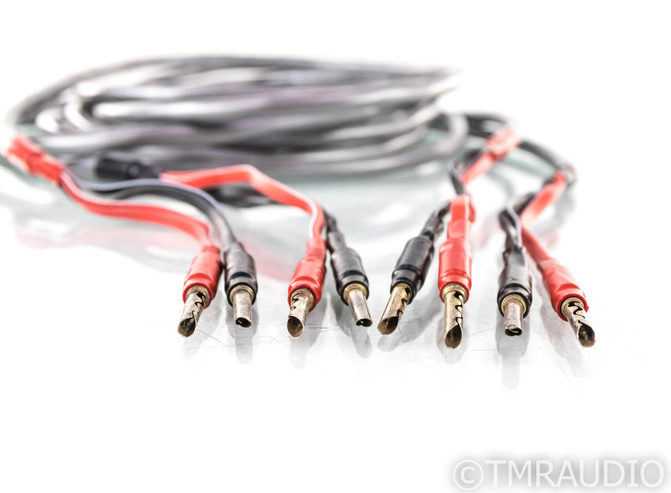 WireWorld Orbit Speaker Cables; 8ft Pair