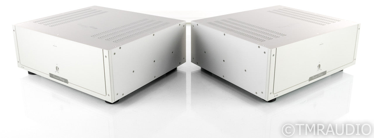 Concert Fidelity ZL120 FX Mono Power Amplifier