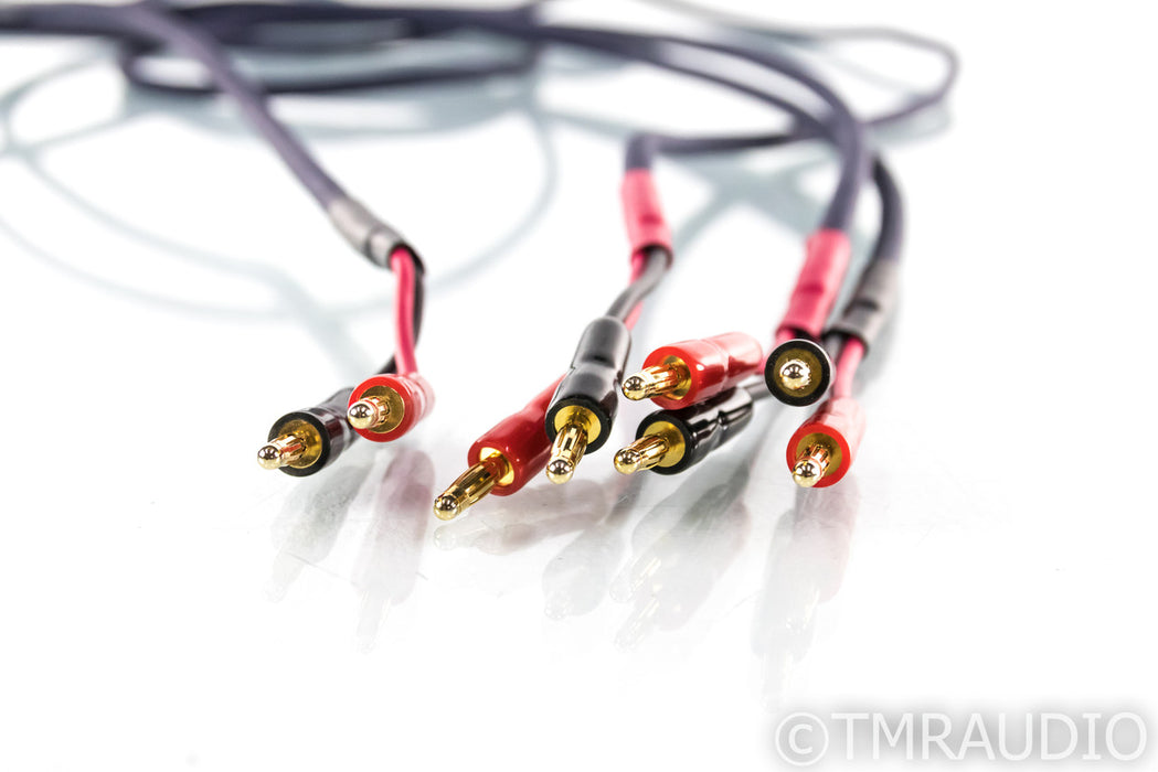 DH Labs Silver Sonic T-14 Speaker Cables; 10ft Pair; T14