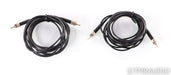 Bel Canto Black Ultimate Digital Amplifier System