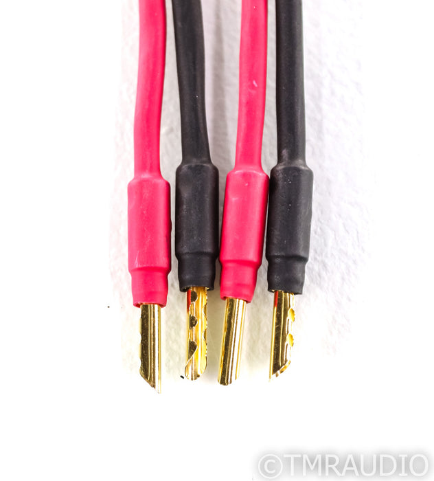 Morrow Audio SP-5 Speaker Cable; Single; 2.5m; SP5