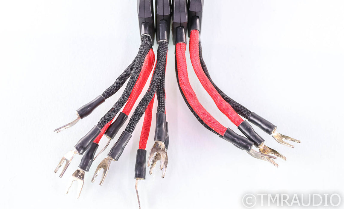 WireWorld Eclipse 6 Bi-Wire Speaker Cables; 3m Pair
