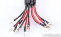 WireWorld Eclipse 6 Bi-Wire Speaker Cables; 3m Pair