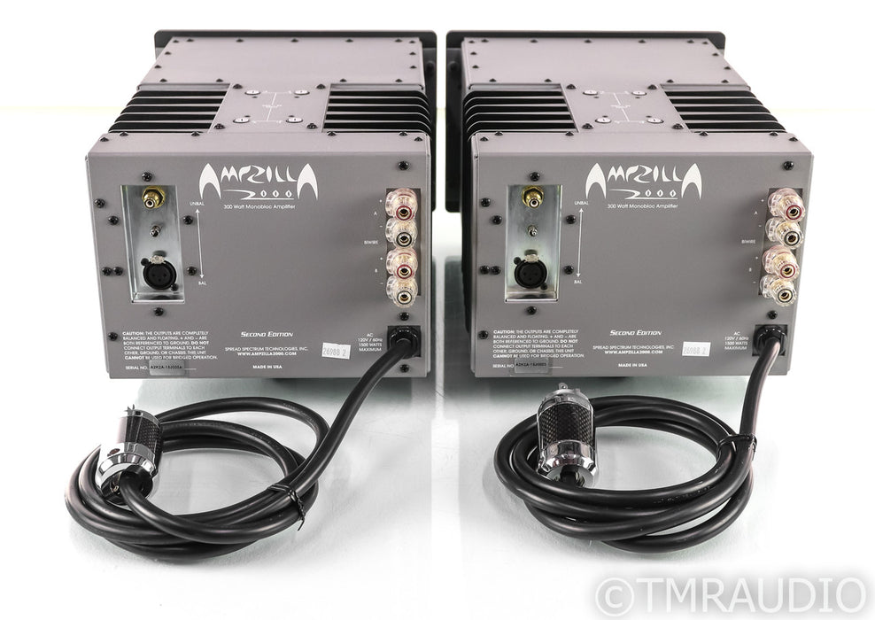 Spread Spectrum Technologies Ampzilla 2000 2nd Edition Mono Power Amplifier