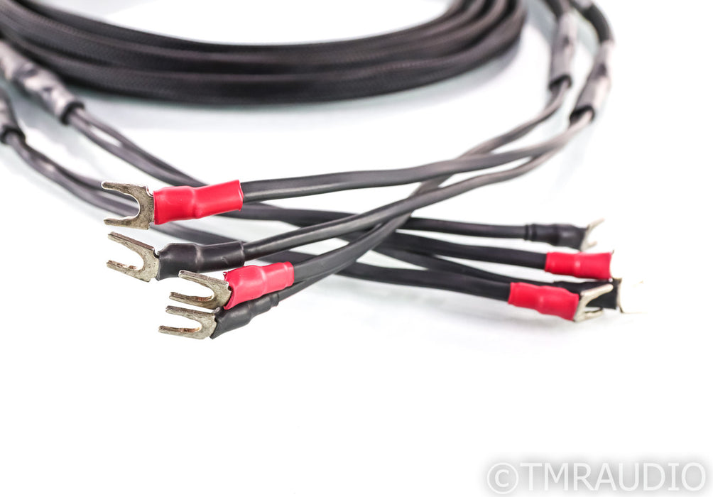 Synergistic Research Tesla Acoustic Reference Speaker Cables; 12ft Pair; Spades