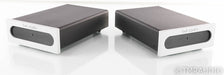 Bel Canto e.One REF500M Mono Power Amplifier