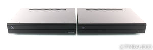 PS Audio Stellar M700 Mono Power Amplifier
