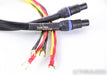 Signal Cable Company REL Speakon Link Speaker Cables; 8ft Pair