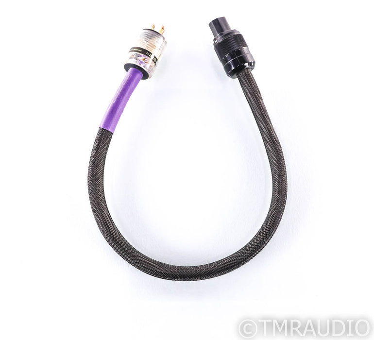 Revelation Audio Labs Precept II CryoSilver Reference Power Cable; 2ft AC Cord