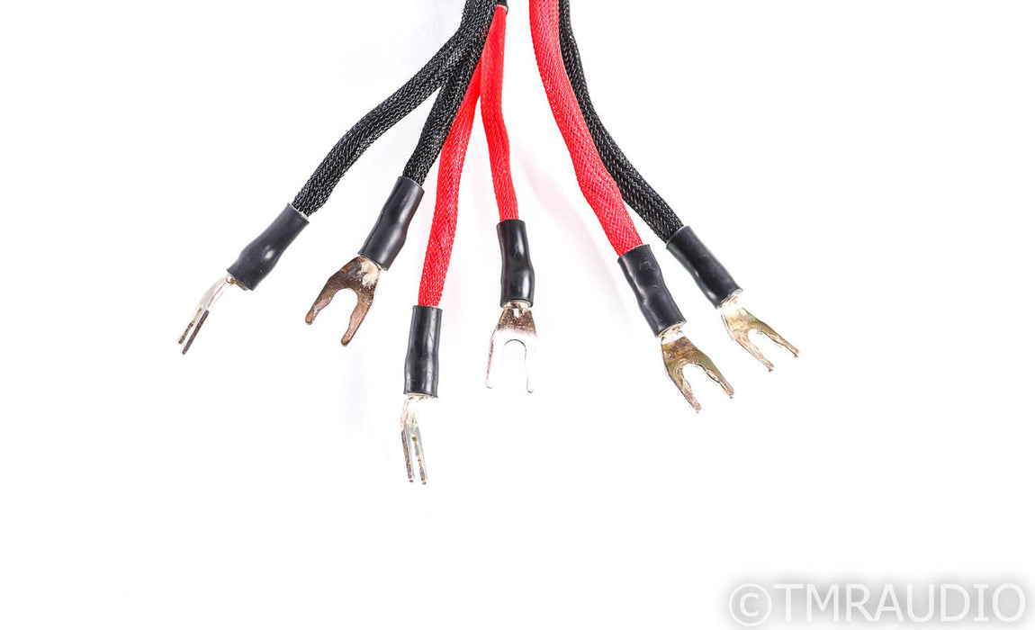 WireWorld Eclipse 6 Bi-Wire Speaker Cables; 3m Pair