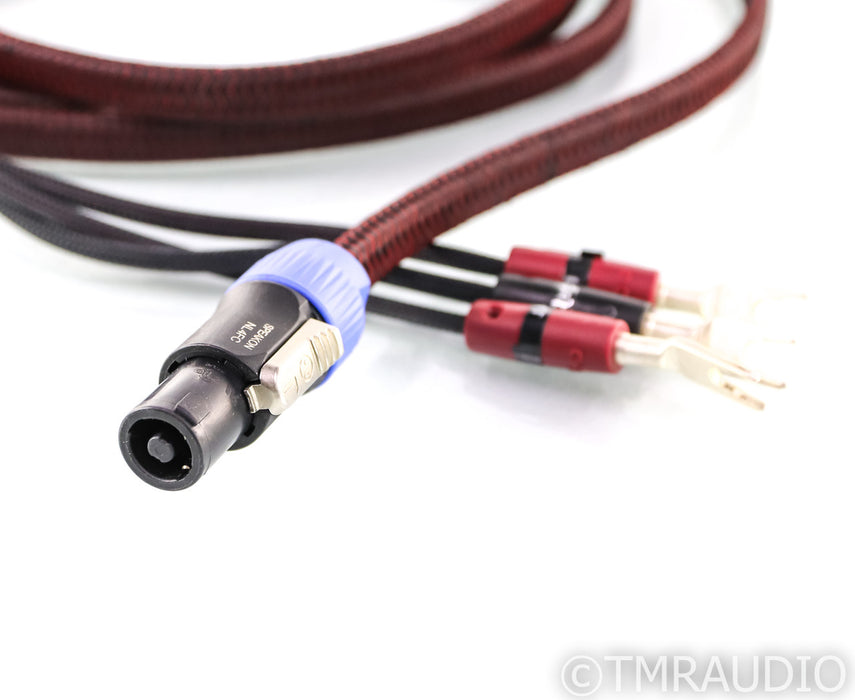 AudioQuest Rocket 33 REL Speakon Cable; 10ft High Level Subwoofer Interconnect