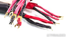 Tara Labs Space & Time Quantum II Biwire Speaker Cables; 15ft Pair