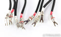Kimber Kable Select KS-3038 Speaker Cables; 4.5ft Pair; WBT-0660 Ag