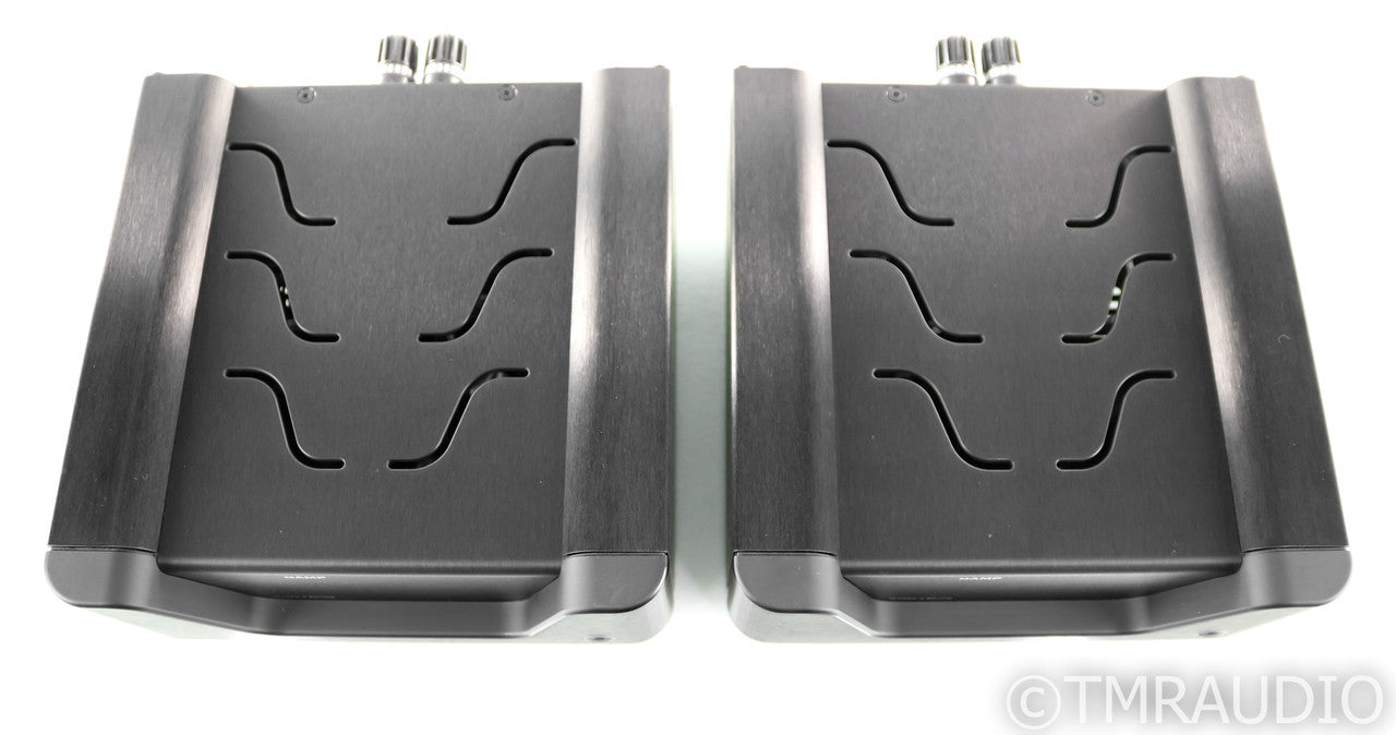 Wyred 4 Sound mAMP Mono Power Amplifier