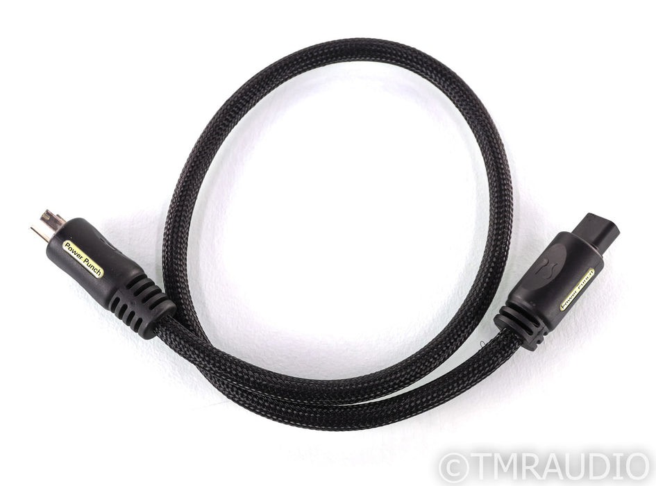 PS Audio xStream Power Punch Power Cable; 1m AC Cord