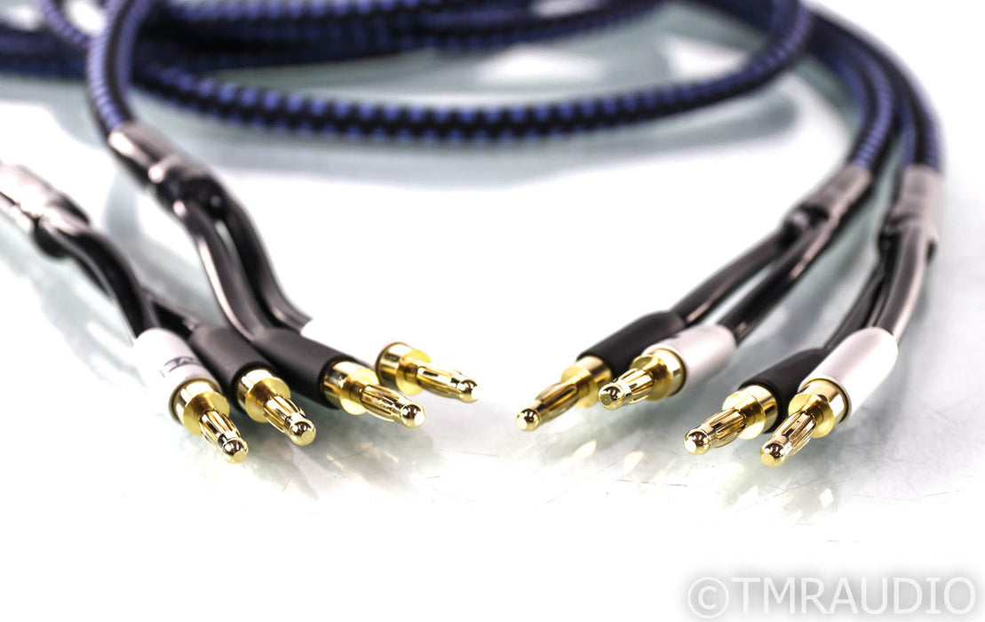 SVS SoundPath Ultra Speaker Cables; 8ft Pair
