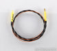 Curious USB Cable; .8m Digital Interconnect