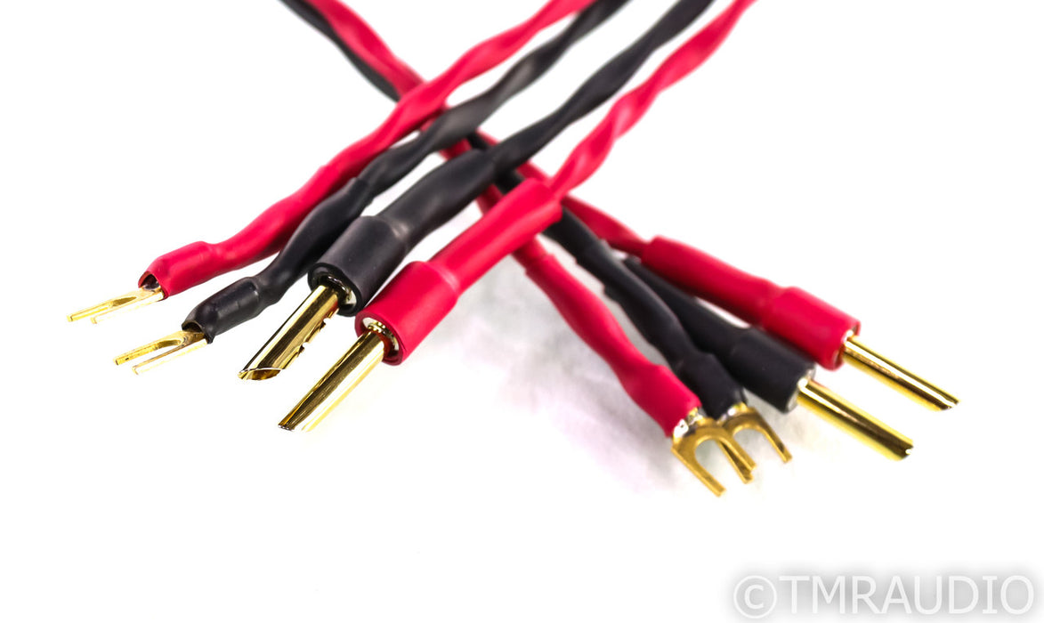 AudioQuest Type 4 Speaker Cables; 8ft Pair