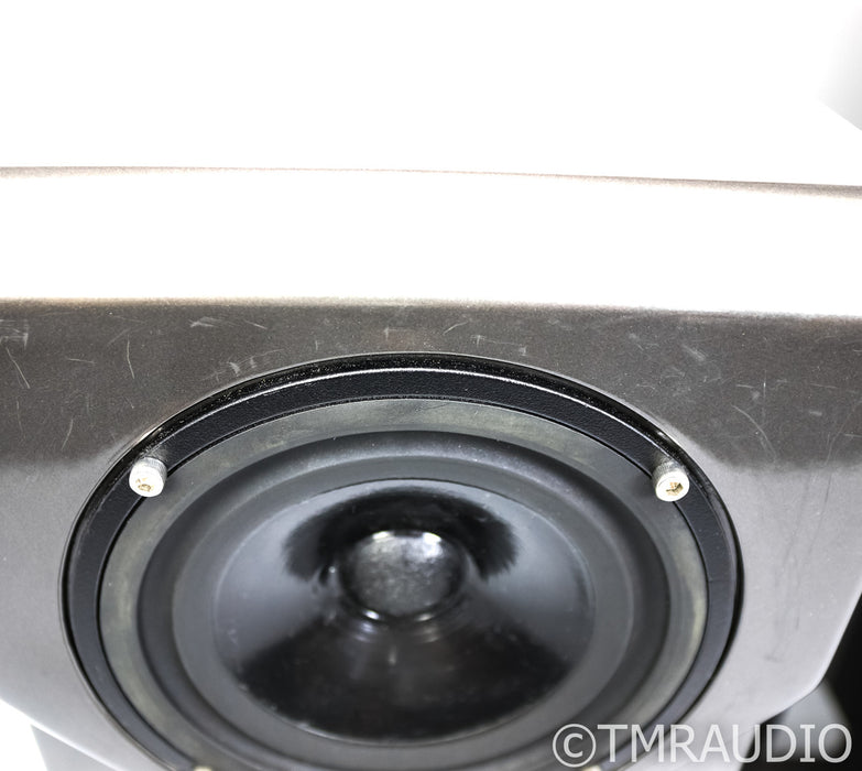 Wilson Audio Cub Series 2 Bookshelf Speakers