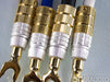 PS Audio xStream Statement Bi-Wire Speaker Cables