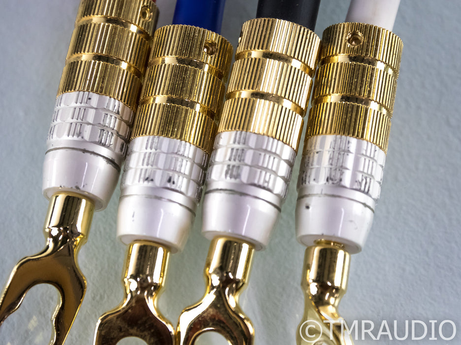 PS Audio xStream Statement Bi-Wire Speaker Cables