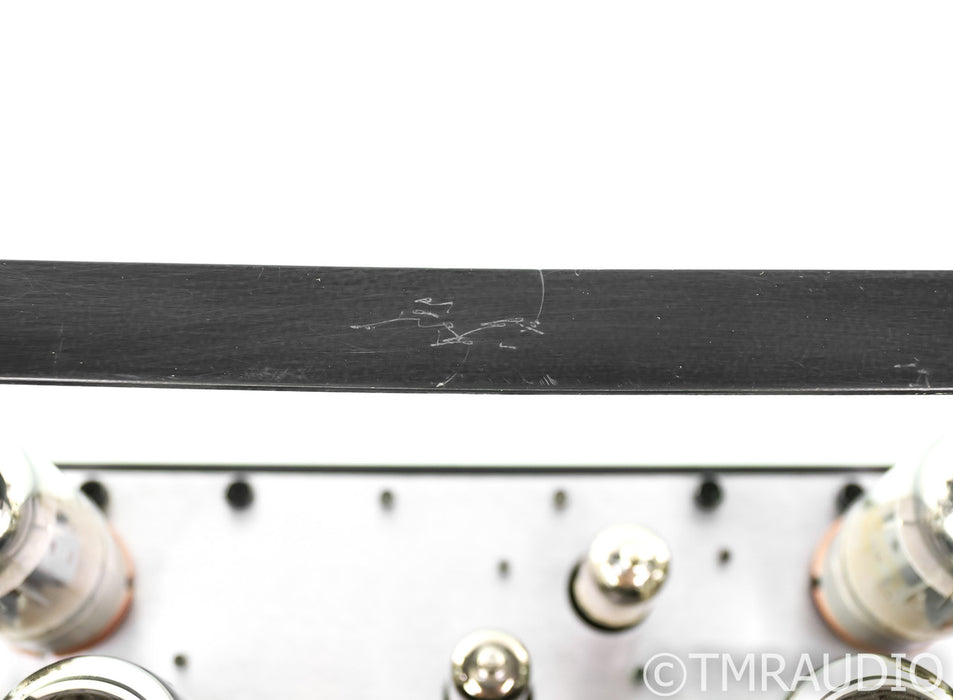 VTL De Luxe 300 Mono Tube Power Amplifier