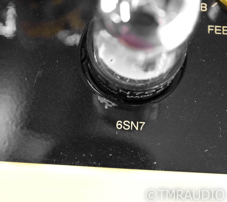 Cary Audio CAD 805 Anniversary Edition Mono Tube Amplifier