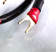 Transparent Audio MusicWave Plus Bi-Wire Speaker Cables; 8ft Pair
