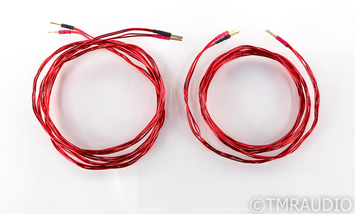 Anticables Level 3.1 Speaker Cables; 10ft Pair
