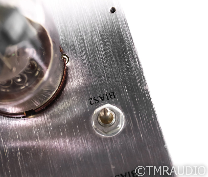 Antique Sound Lab Monsoon Mono Tube Power Amplifier
