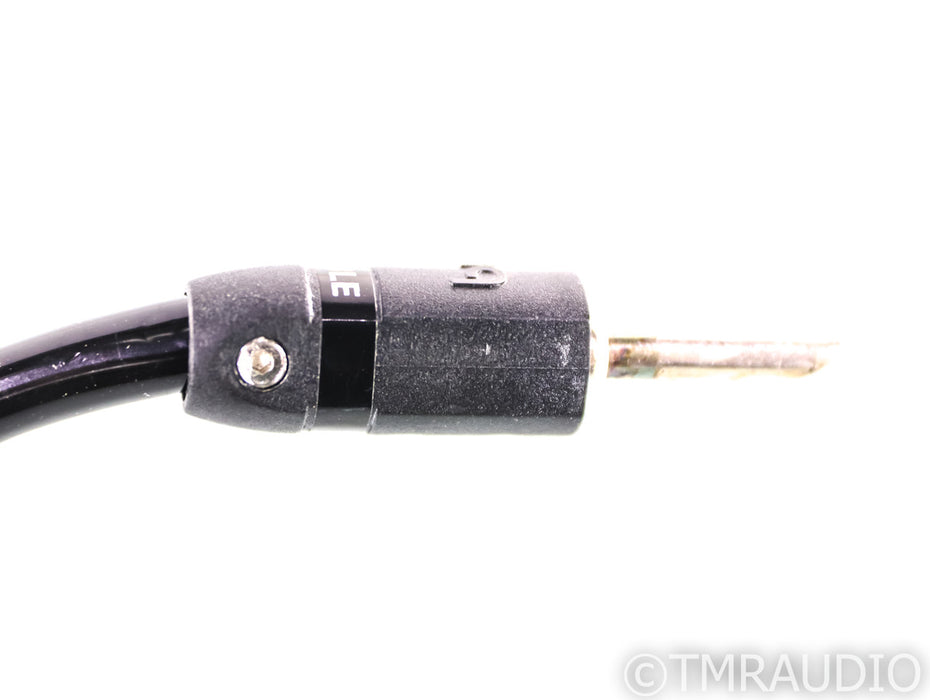 Audioquest Rocket 33 Bi-wire Speaker Cables; 3m Pair